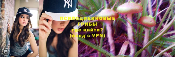 спайс Алзамай